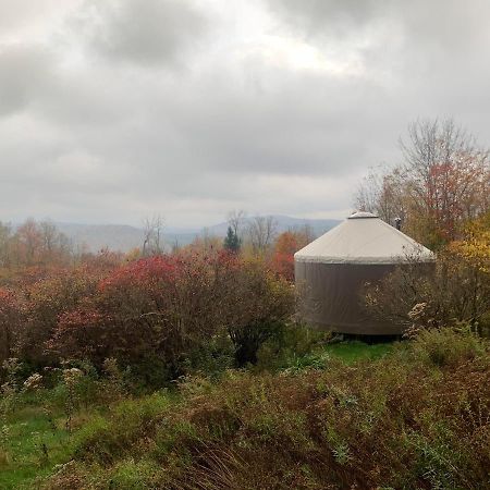 Livingston Manor Yurt Hotel Parksville Exterior foto