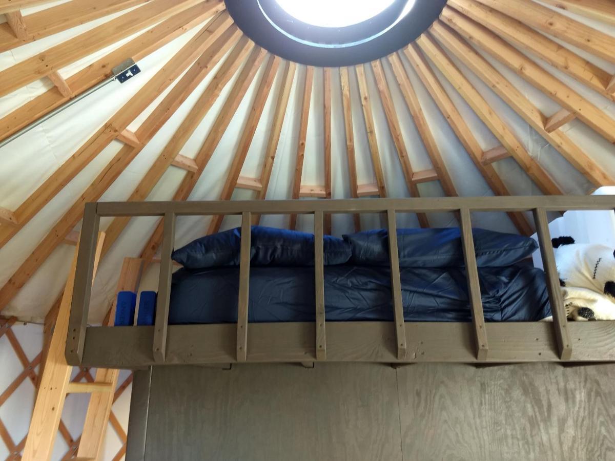 Livingston Manor Yurt Hotel Parksville Exterior foto
